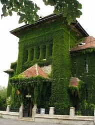 Muzeul Olteniei din Craiova, Sectia Isotrie-Arheologie