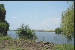 Locuinţe de şase milioane de euro în Străuleşti