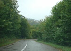 Autorităţile locale pot solicita preluarea drumurilor forestiere