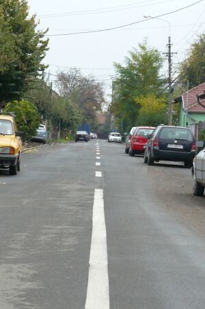 Oradea: O nouă faţă pentru strada Gala Galaction