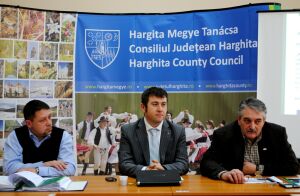 CJ Harghita solicită 755 milioane lei fonduri guvernamentale