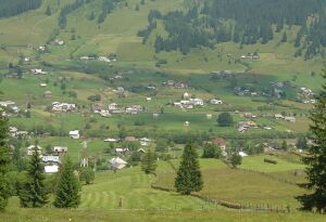 20 de proiecte pe măsura 322 în judeţul Alba