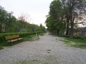 Cluj-Napoca investeşte în spaţii verzi