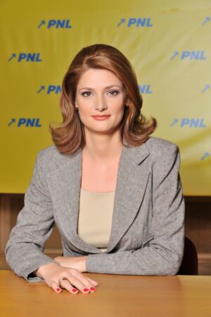 Ramona Mănescu doreşte reformarea procedurilor privind achiziţiile publice
