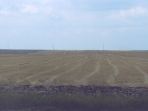 Plăţi de 276 de milioane de euro pentru modernizarea exploataţiilor agricole 