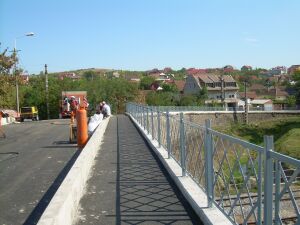 Oradea: Pasajul Theodor Neş este redeschis traficului