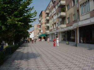 Balş