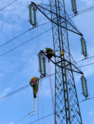www.electrica.ro