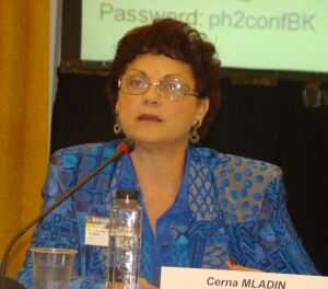 Emilia-Cerna Mladin, Preşedintele Asociaţiei Auditorilor Energetici pentru Clădiri (AAEC).