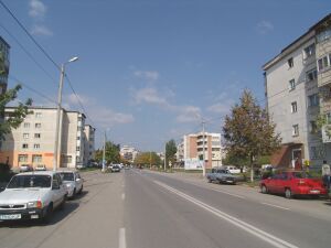 Exproprieri de 30 mil. lei pentru strapungerea bd. Nicolae Grigorescu-Splai Dudescu