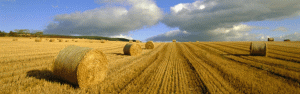  Hitch&Mosher a oferit consultanţă integrată pentru tranzacţionarea a peste 15.000 hectare de teren agricol 