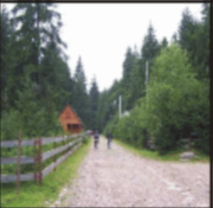 BISTRIŢA-NĂSĂUD: Drumul forestier Valea Lungă va fi modernizat