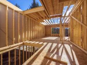 De ce să alegi o casă pe structură din lemn?