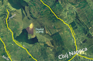 Circa 2.500 de case şi 3.200 de apartamente în cartierul Dealul Lomb