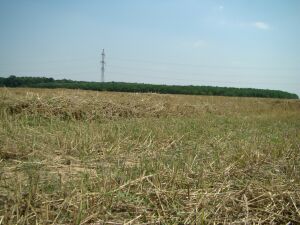 Terenuri de un miliard de euro pentru baronii locali