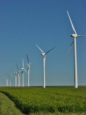 Green Energy şi-a amânat proiectul parcului eolian de 200MW din Tulcea, din cauza legislaţiei