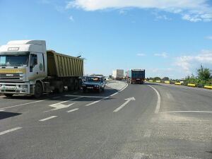 CNADNR a vândut cu 36% mai multe roviniete decât în prima jumătate a lui 2008