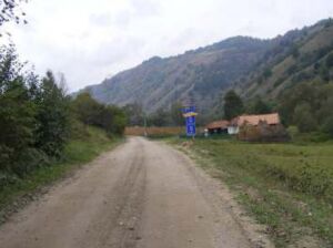 Peste 100 milioane lei pentru modernizarea DJ 687D