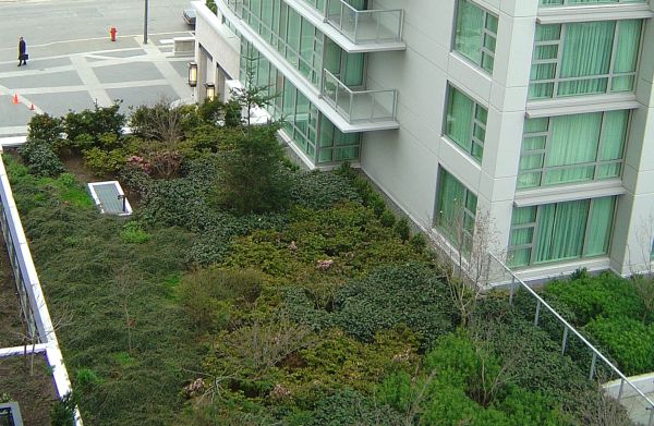 Clădirile verzi nu rezolvă problemele ecologice